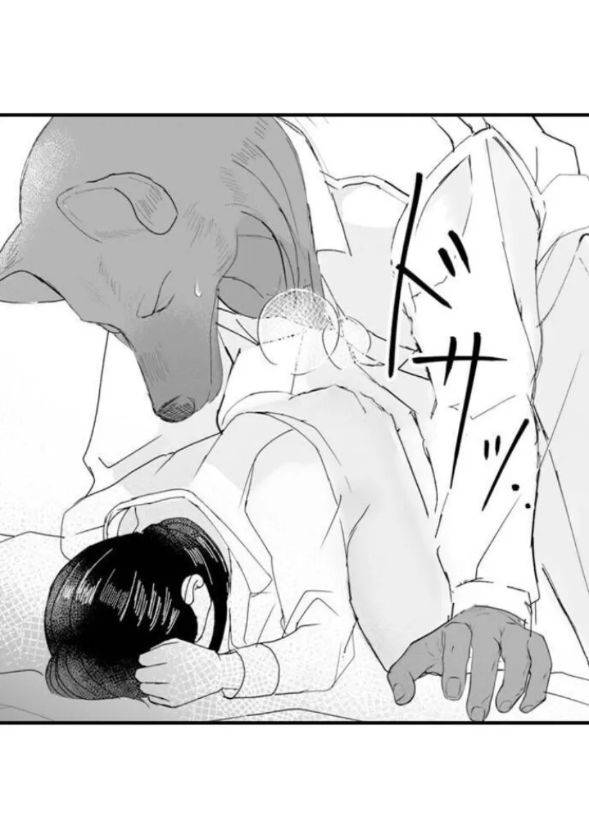 29 Mi esposa predestinada