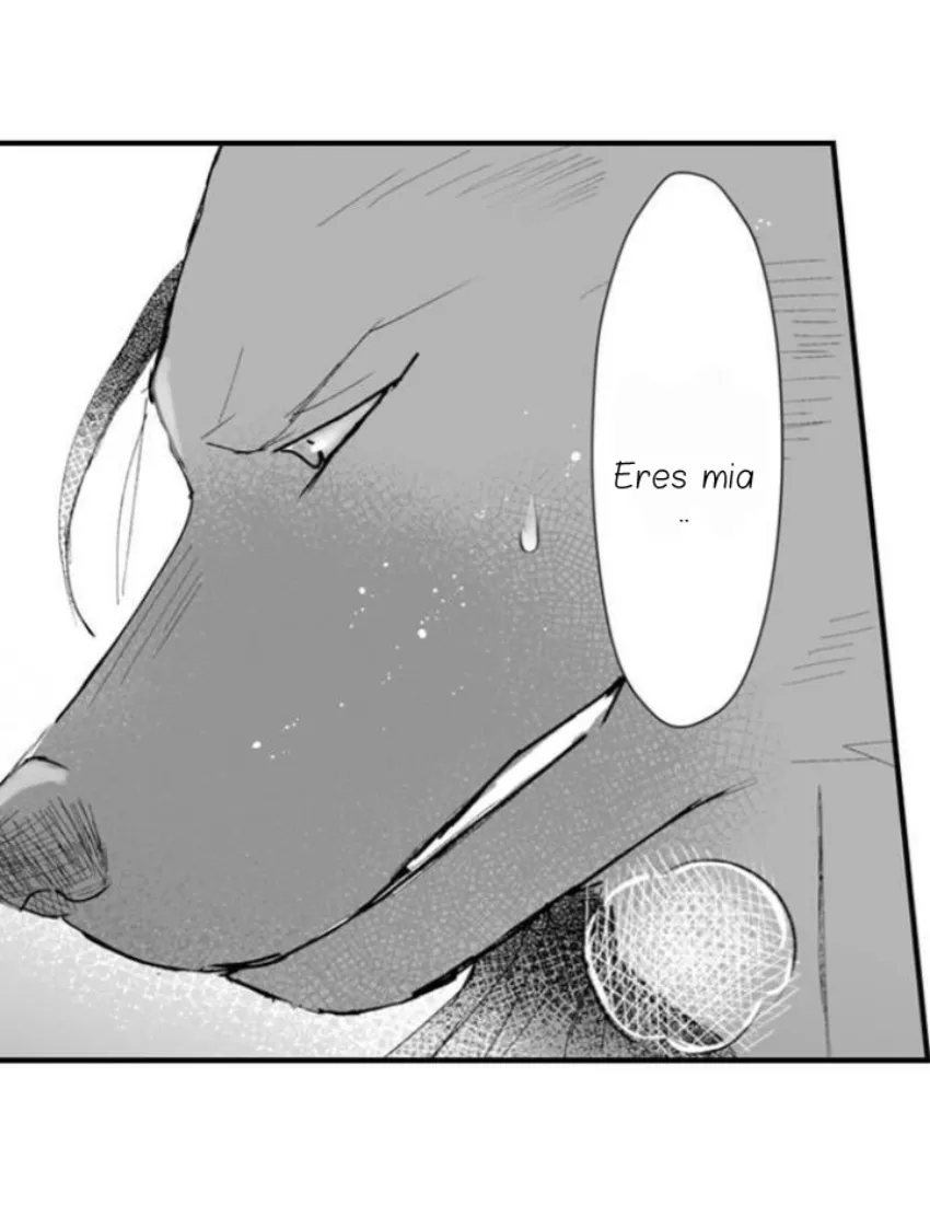 41 Mi esposa predestinada