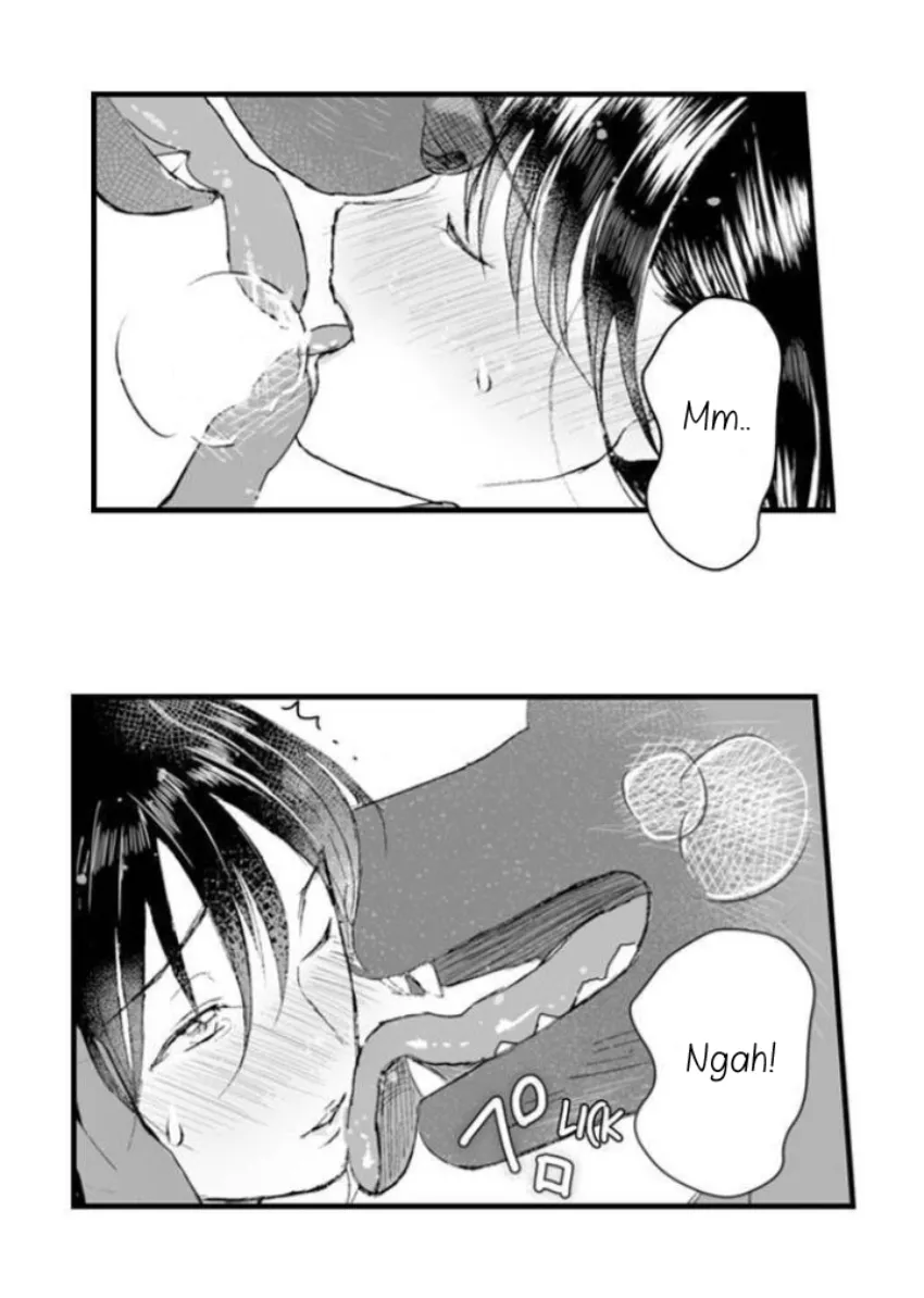 5 Mi esposa predestinada