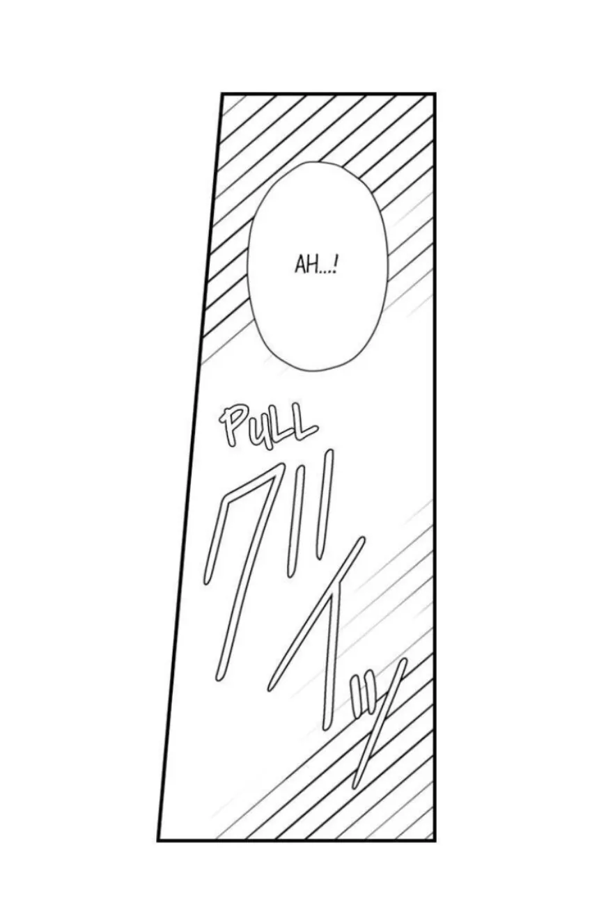 38 Mi esposa predestinada