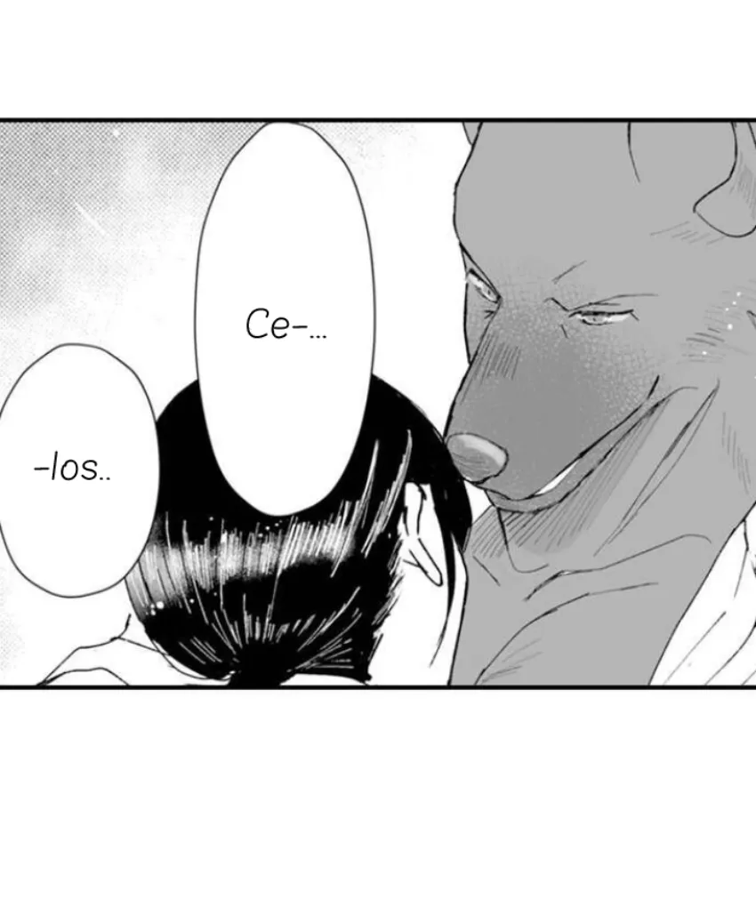 41 Mi esposa predestinada