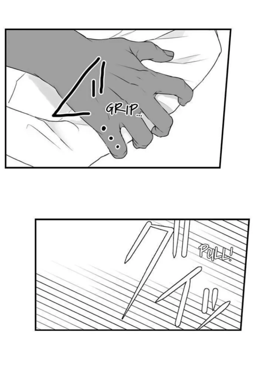 18 Mi esposa predestinada