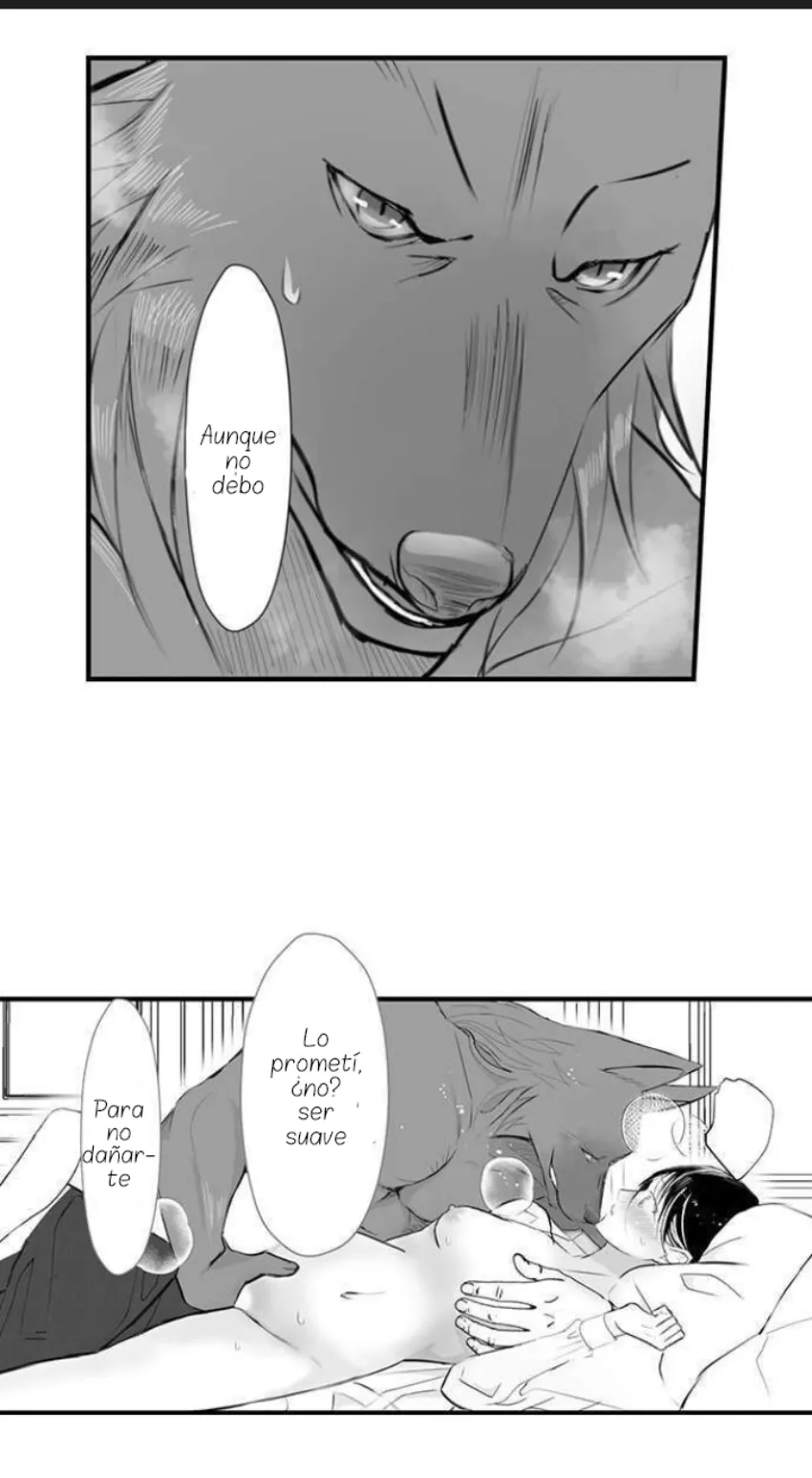 25 Mi esposa predestinada