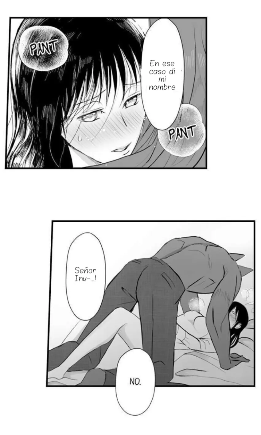 28 Mi esposa predestinada