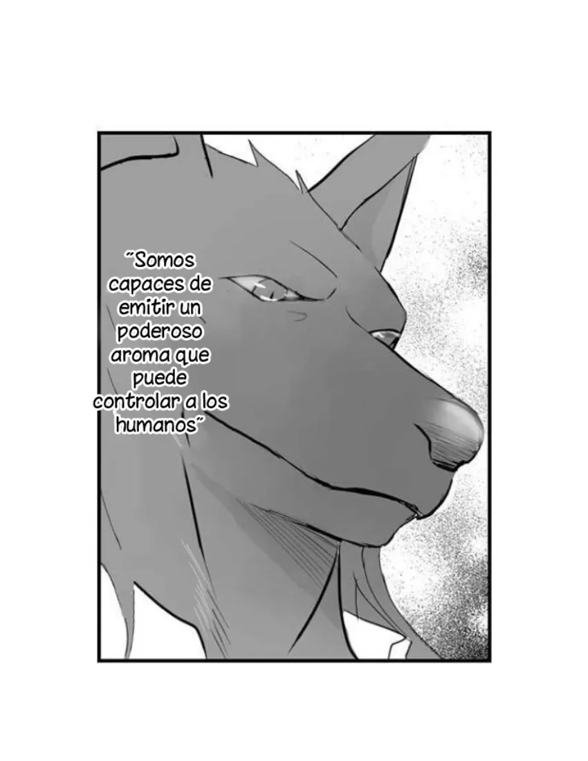 25 Mi esposa predestinada