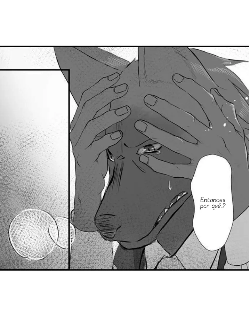 11 Mi esposa predestinada