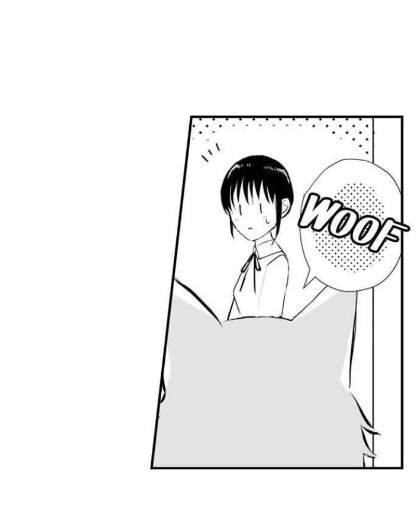 33 Mi esposa predestinada