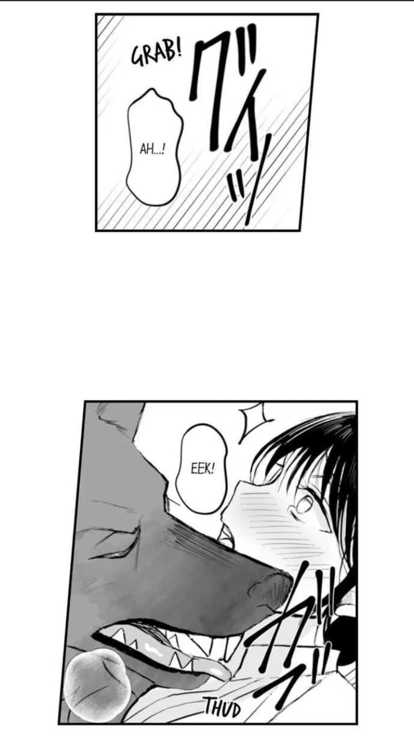 9 Mi esposa predestinada