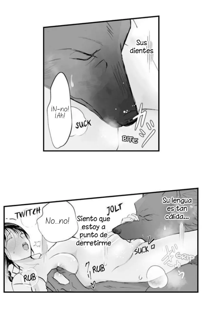 18 Mi esposa predestinada