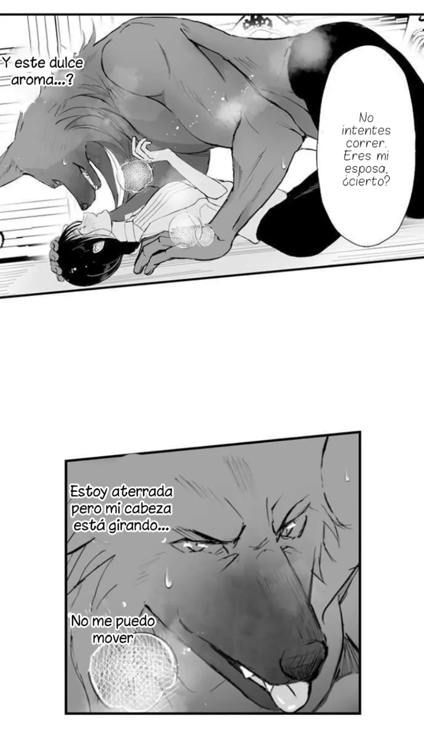 11 Mi esposa predestinada