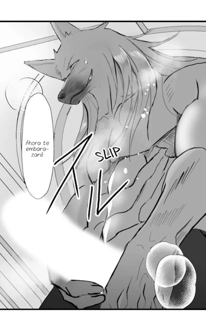 26 Mi esposa predestinada