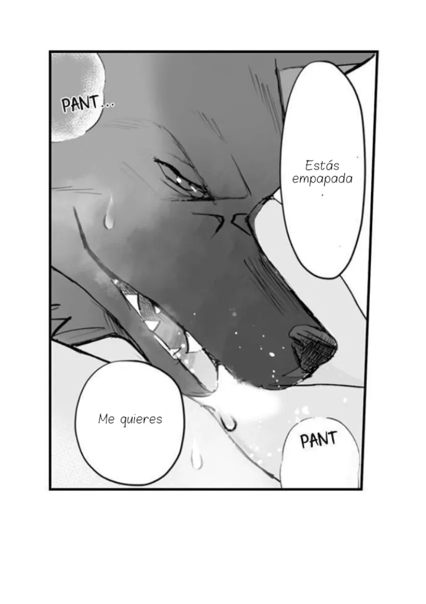 16 Mi esposa predestinada