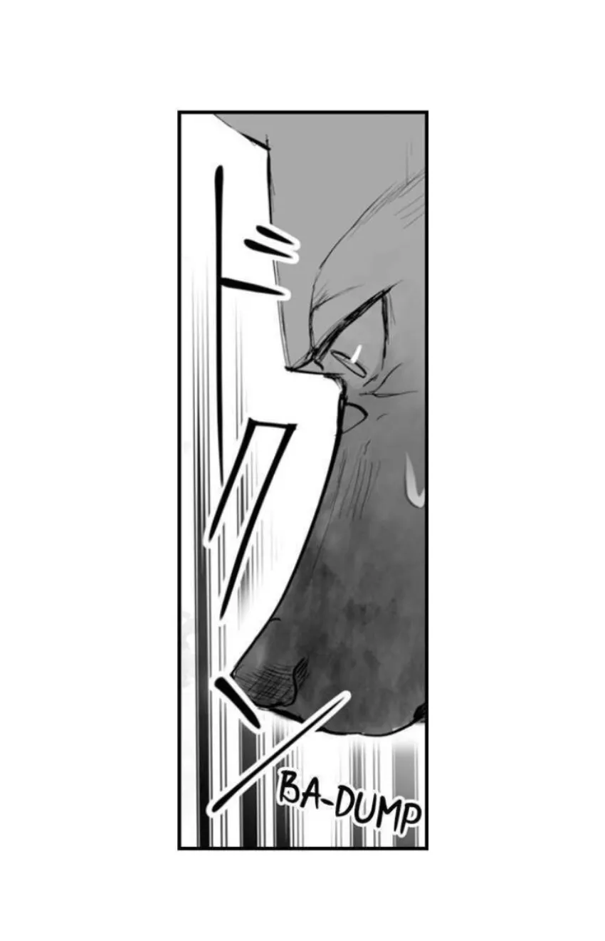 29 Mi esposa predestinada