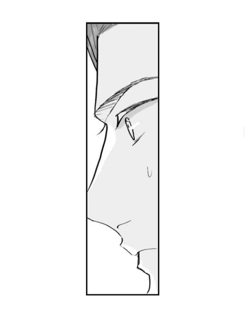 20 Mi esposa predestinada