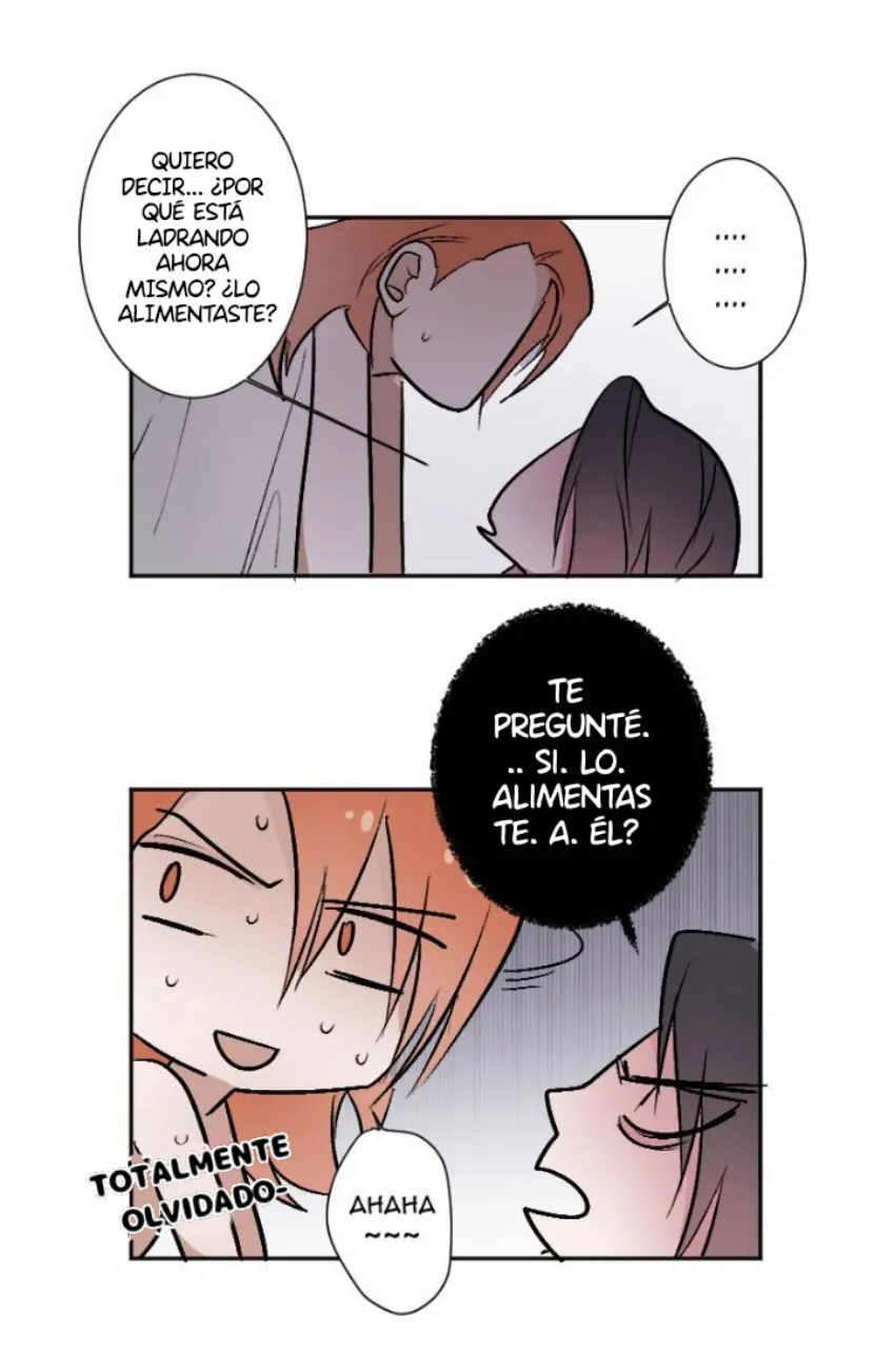 11 Mis cuatro maridos