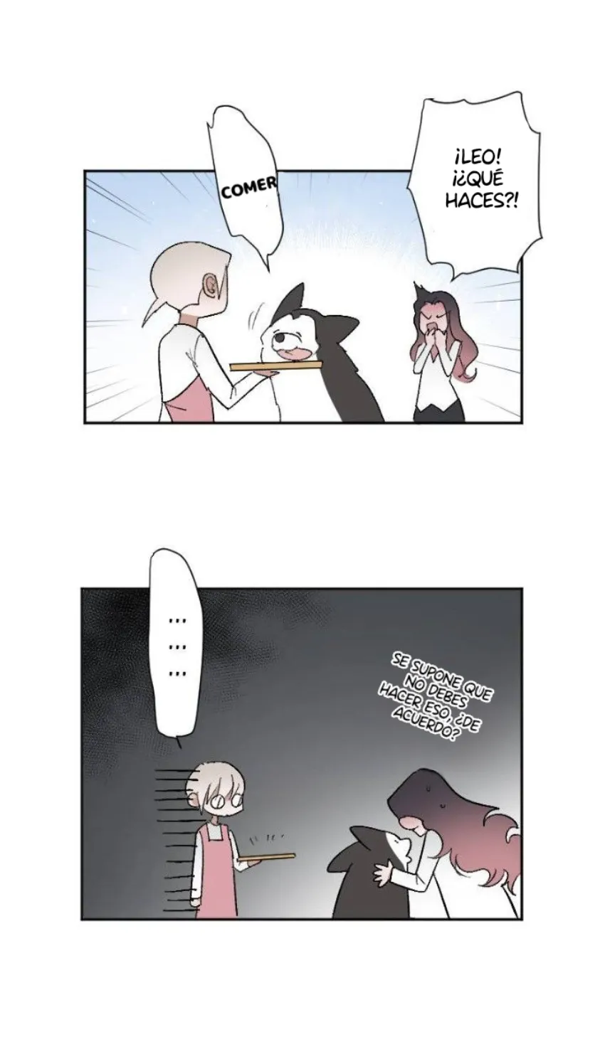 6 Mis cuatro maridos