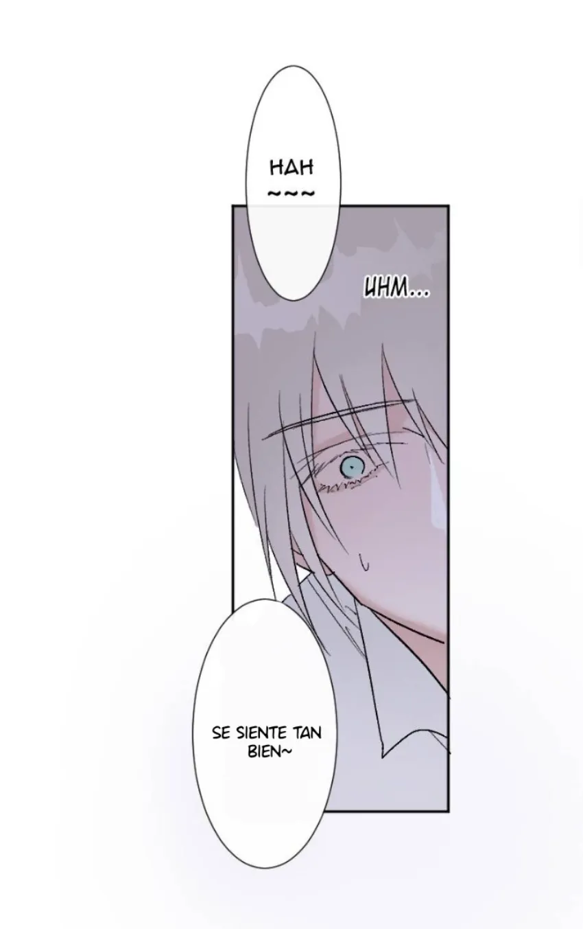 6 Mis cuatro maridos