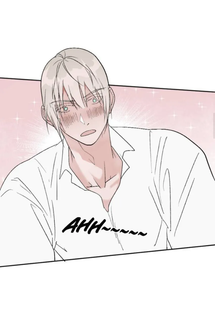 9 Mis cuatro maridos