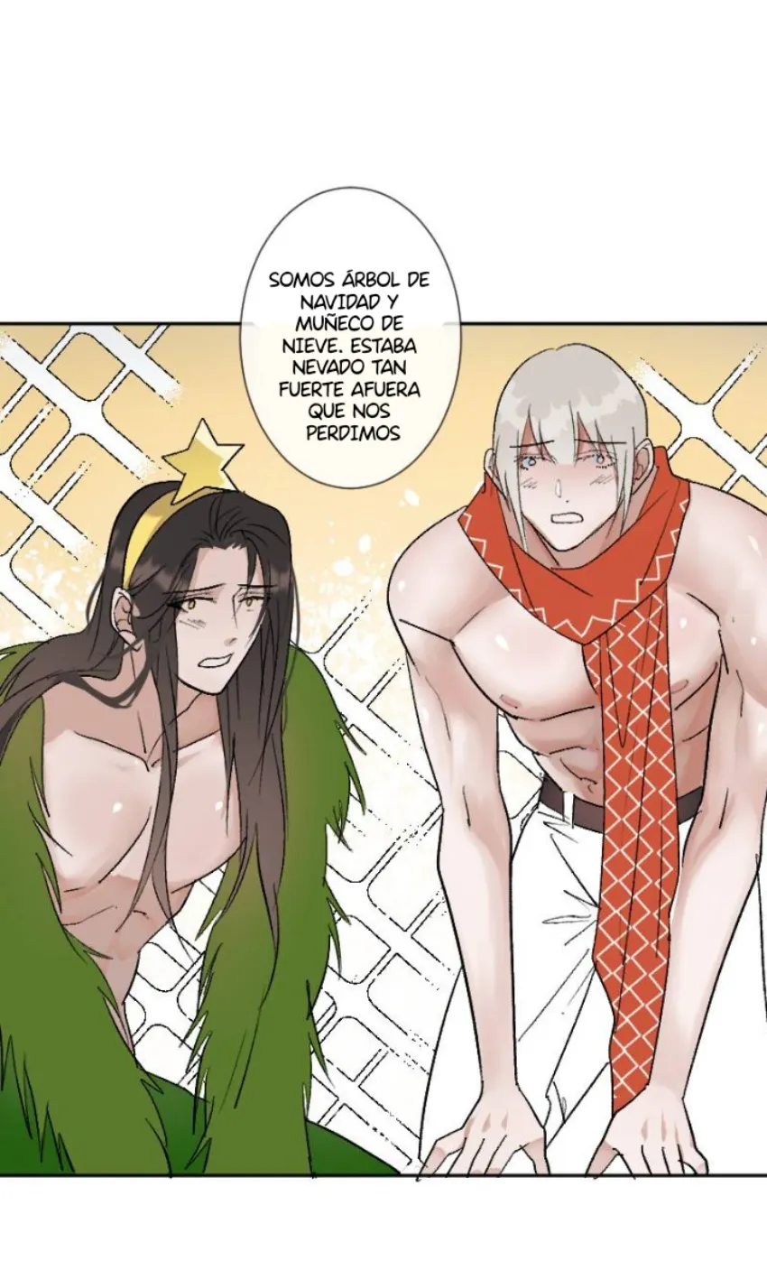 4 Mis cuatro maridos