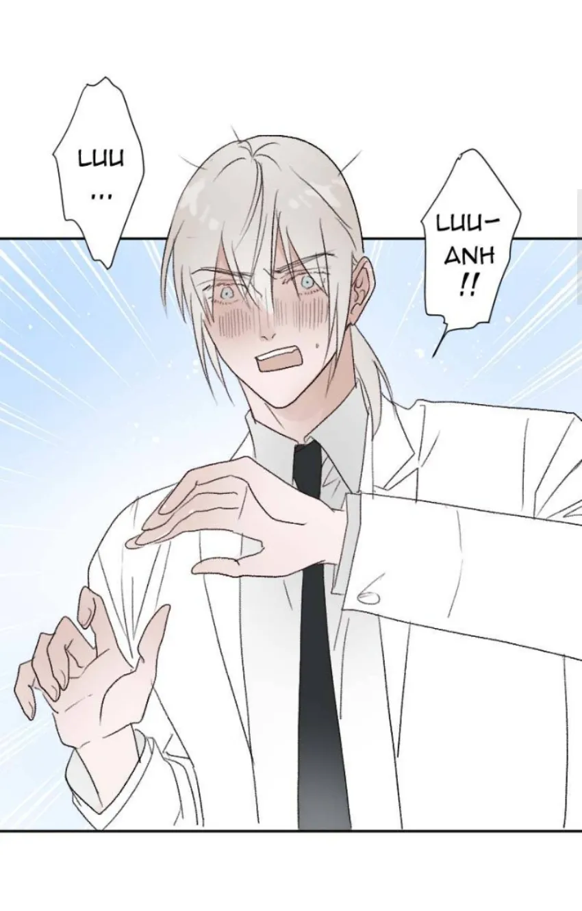 5 Mis cuatro maridos