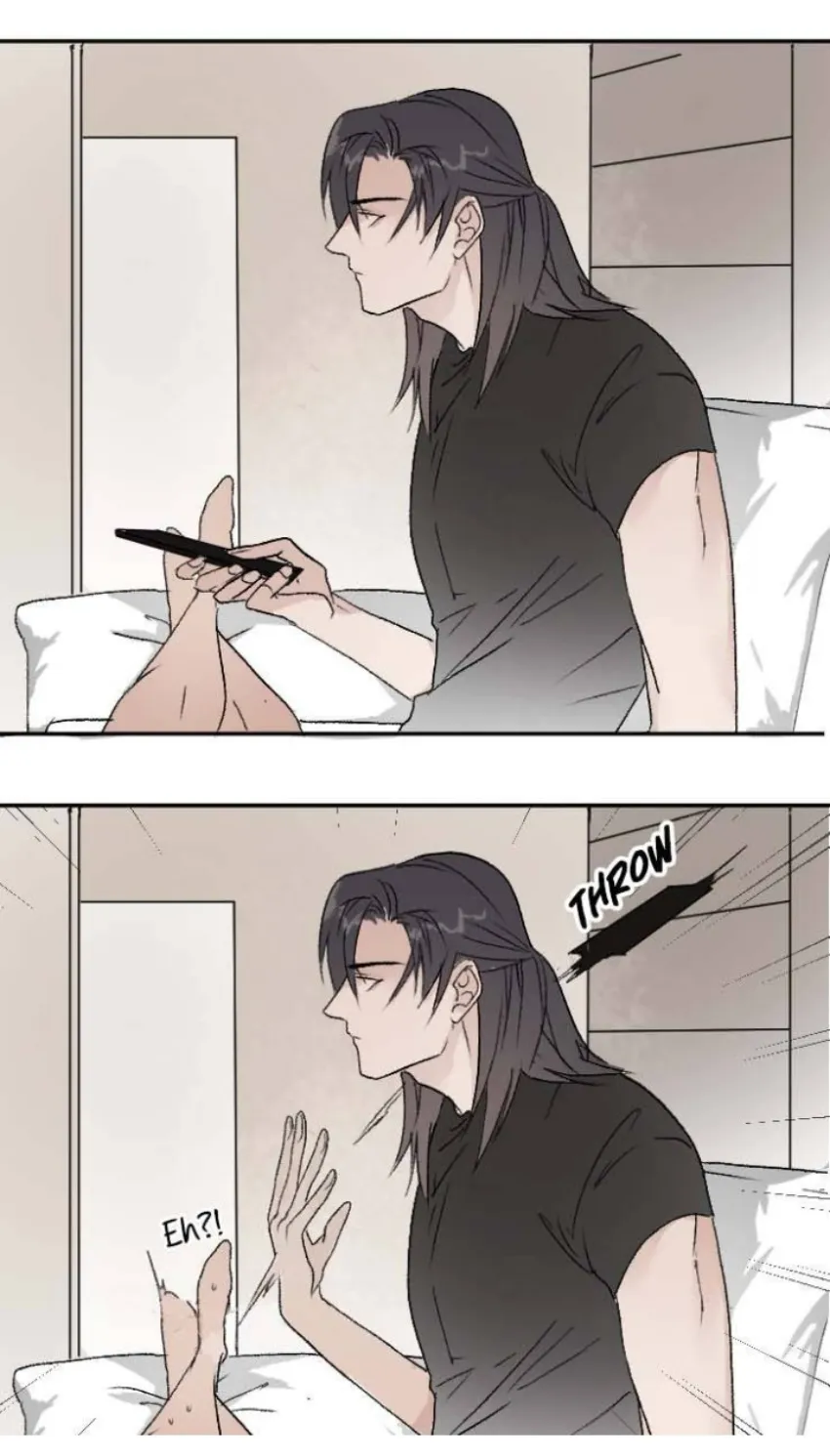 2 Mis cuatro maridos