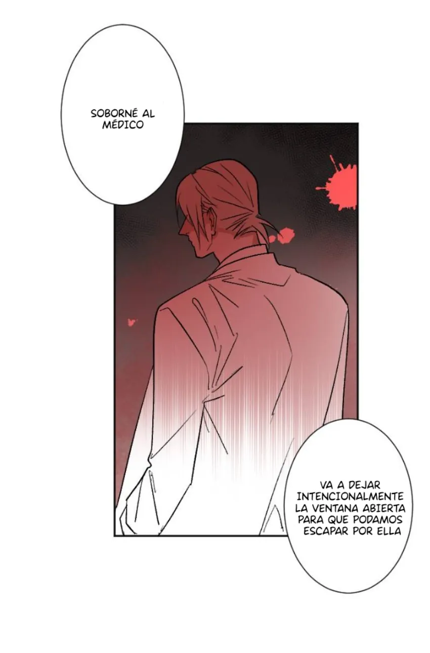 5 Mis cuatro maridos