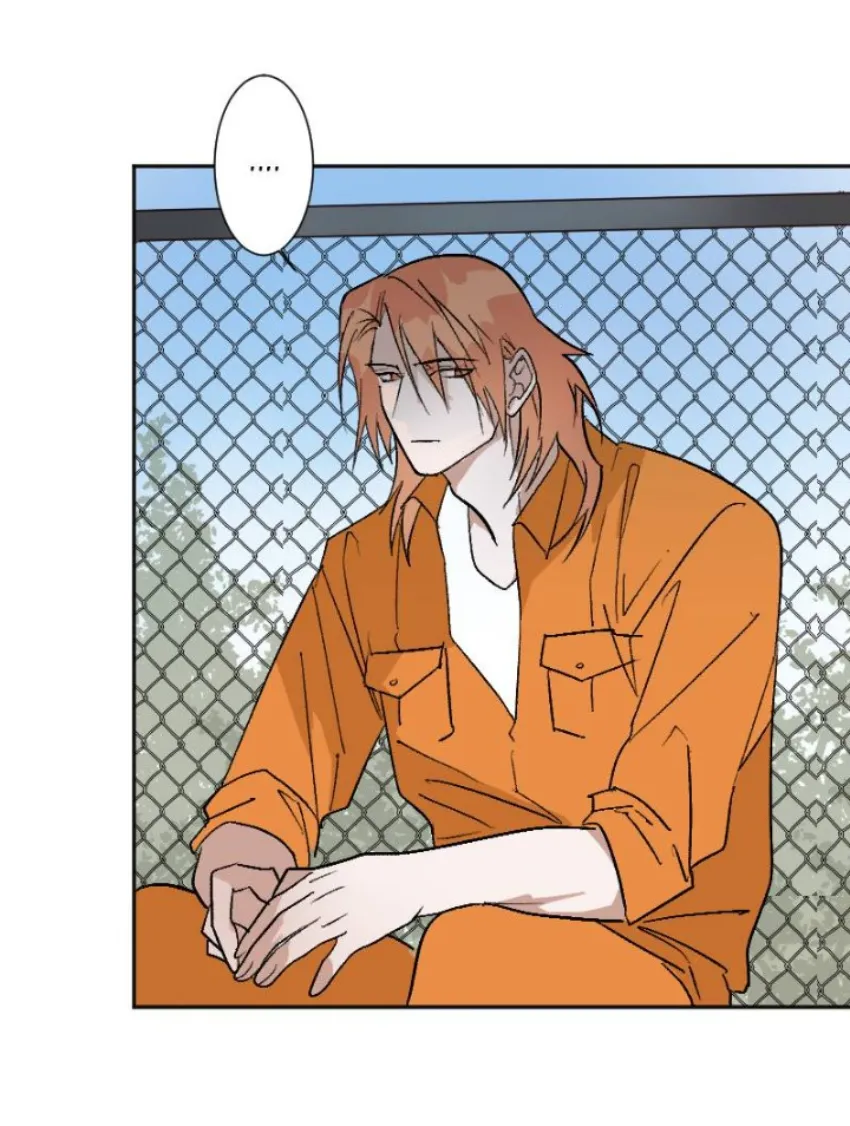 2 Mis cuatro maridos