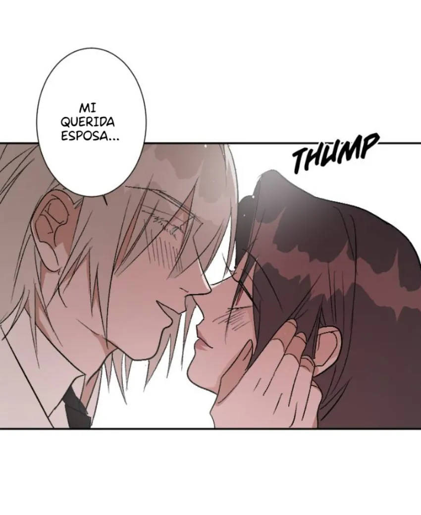 6 Mis cuatro maridos