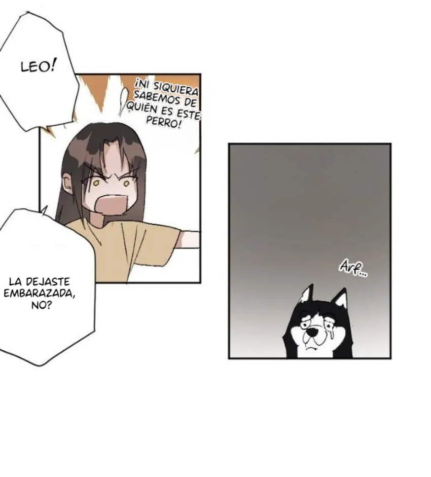 5 Mis cuatro maridos