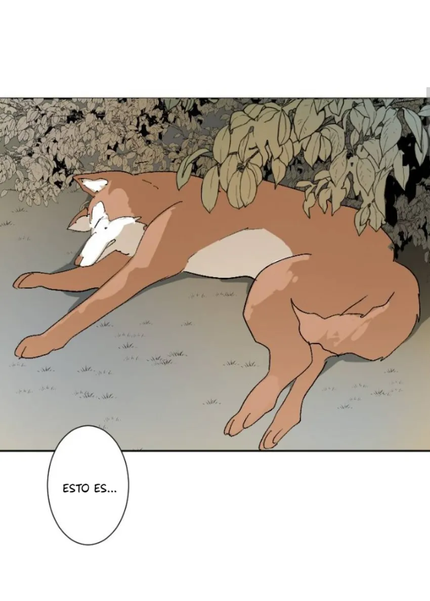 3 Mis cuatro maridos