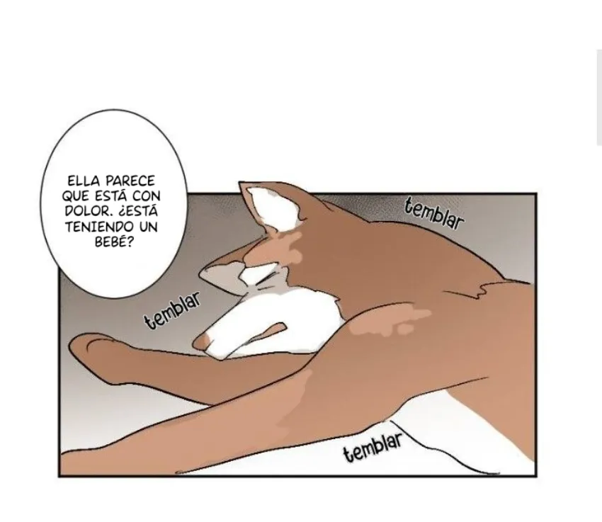 4 Mis cuatro maridos