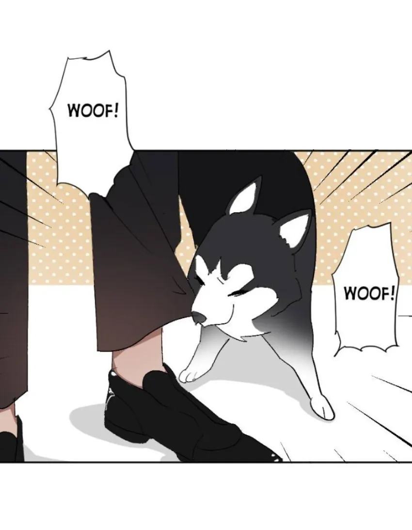 1 Mis cuatro maridos