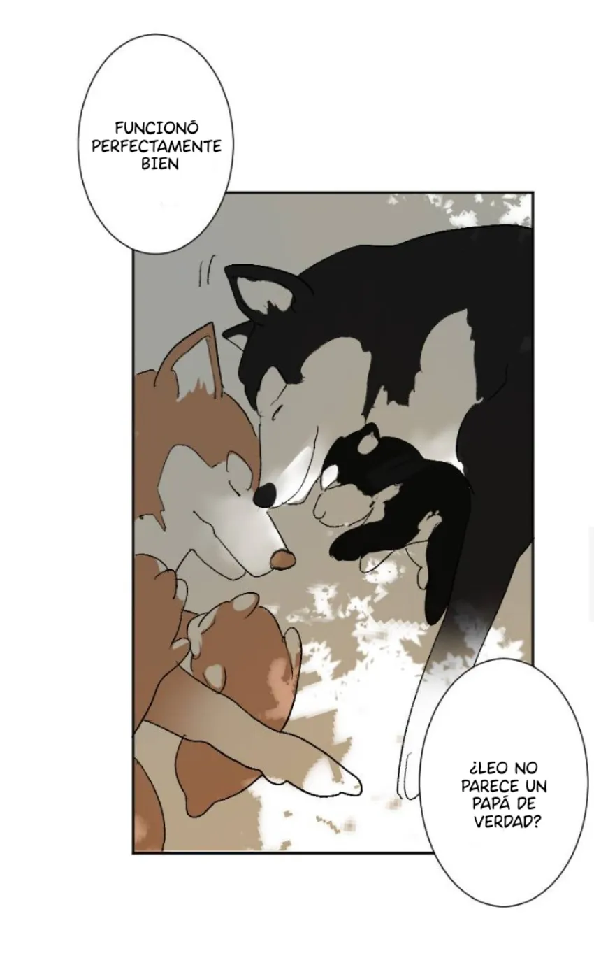 9 Mis cuatro maridos