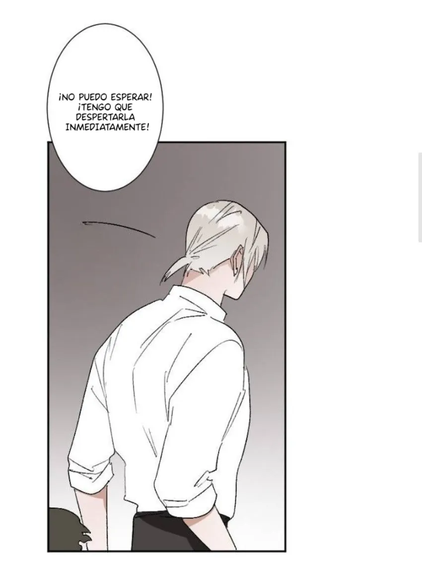 4 Mis cuatro maridos