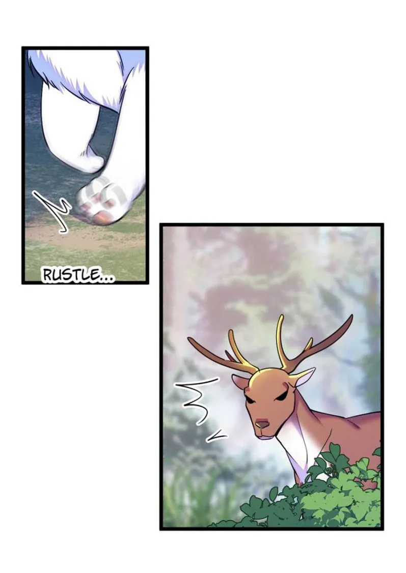 5 El lindo mundo de las bestias