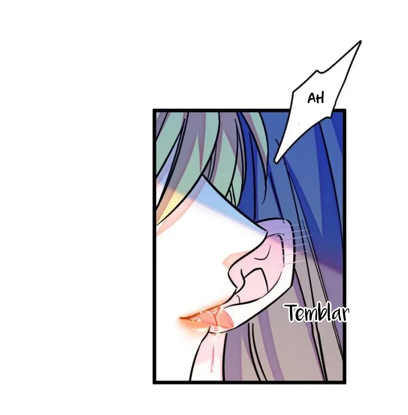 13 El lindo mundo de las bestias