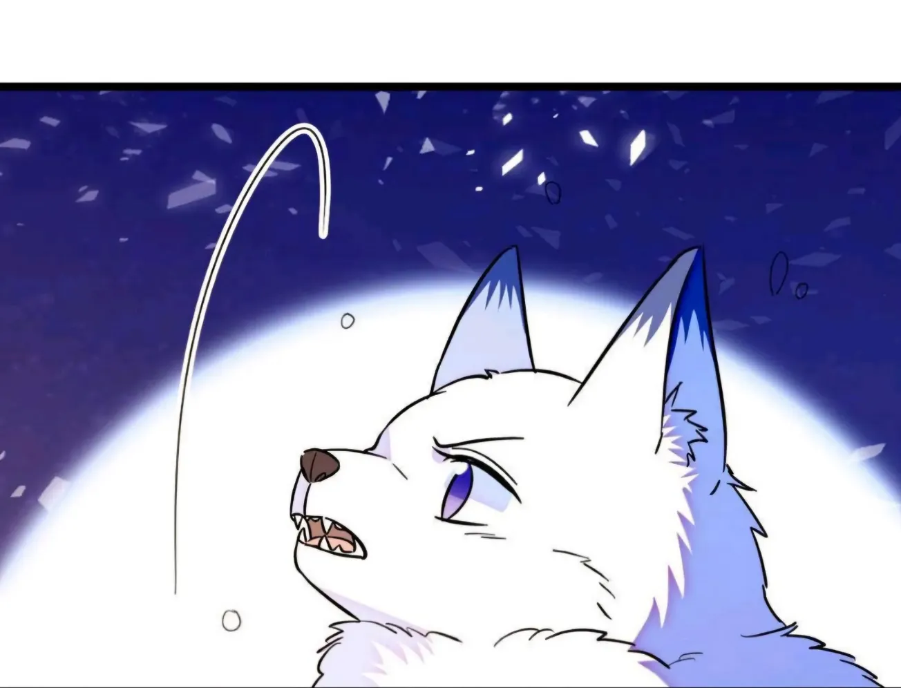 13 El lindo mundo de las bestias