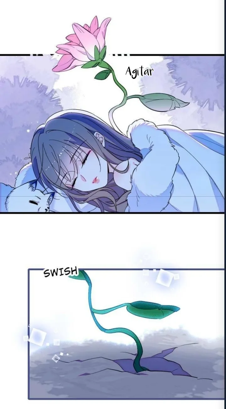 14 El lindo mundo de las bestias