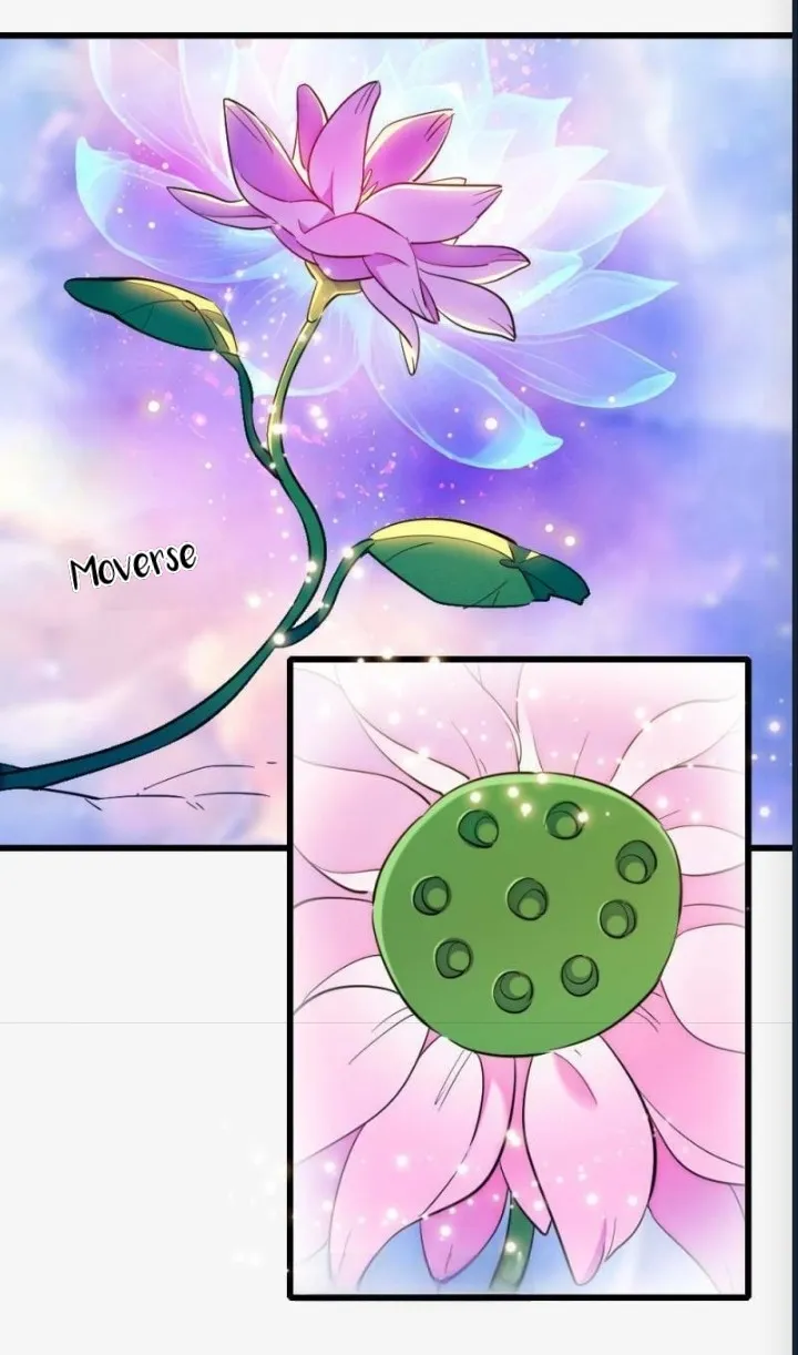 15 El lindo mundo de las bestias