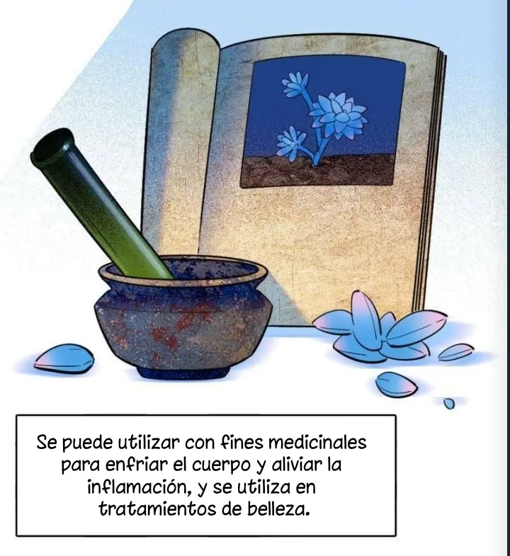 21 El lindo mundo de las bestias