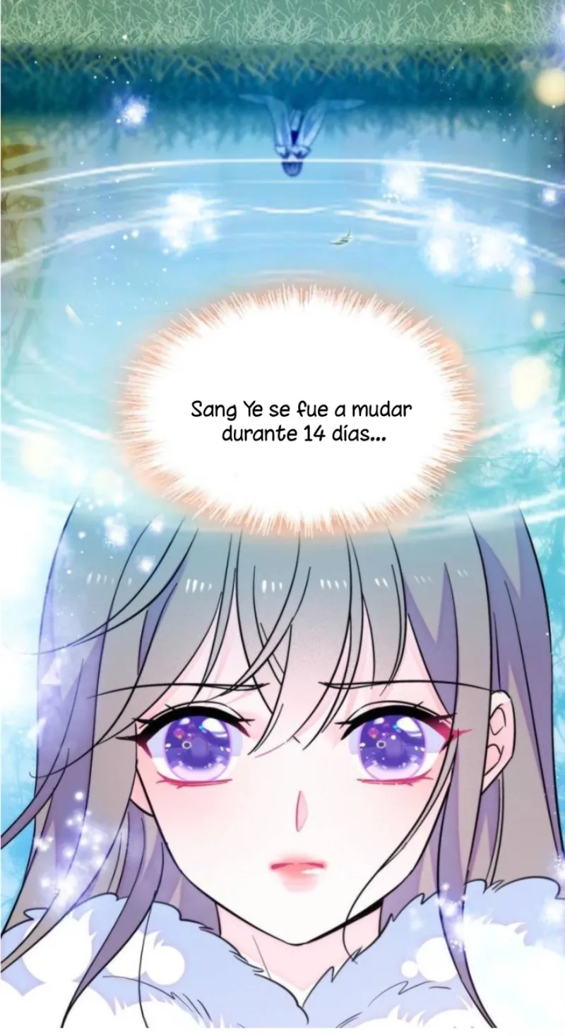 29 El lindo mundo de las bestias