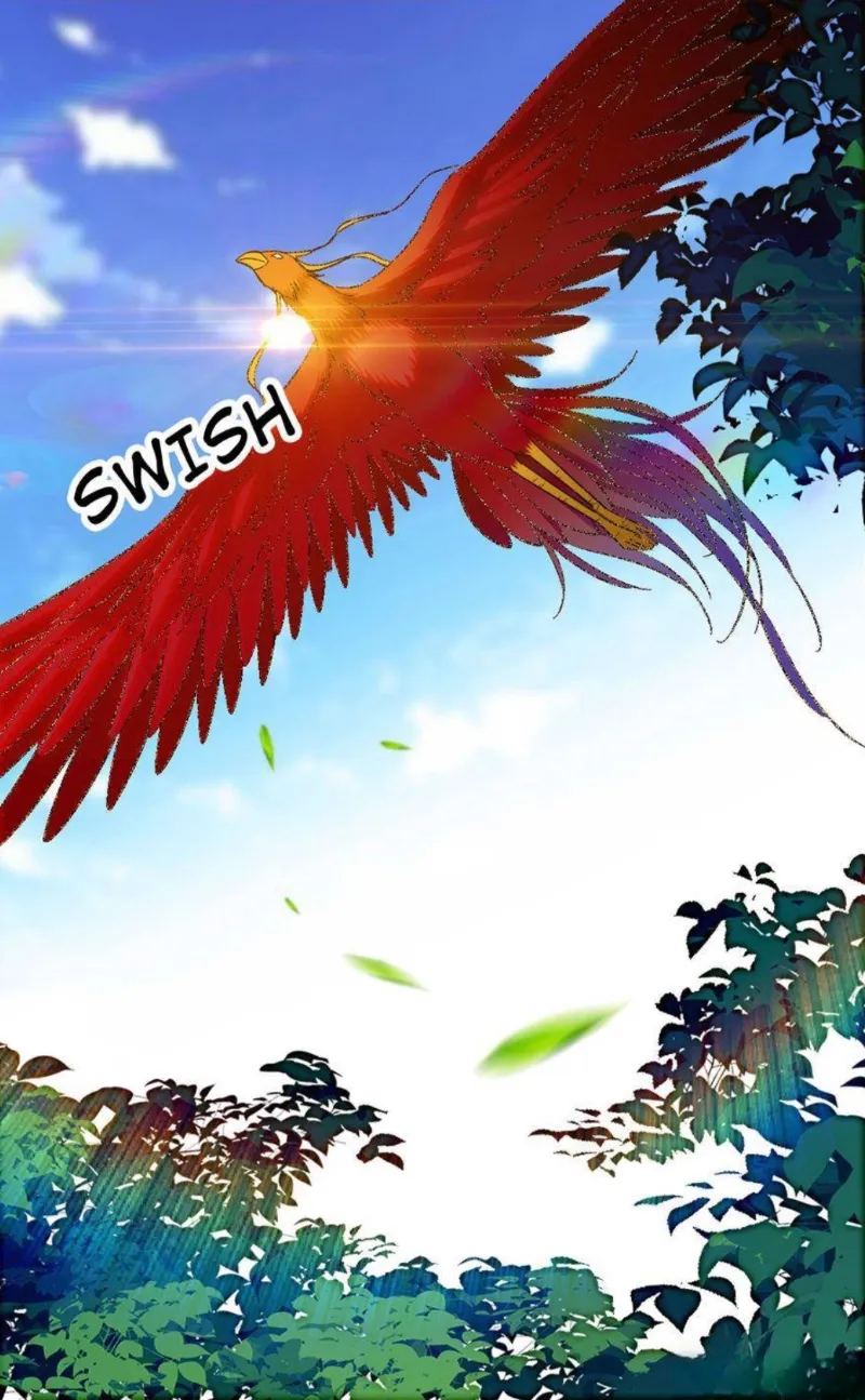 17 El lindo mundo de las bestias