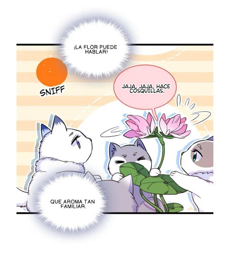 13 El lindo mundo de las bestias