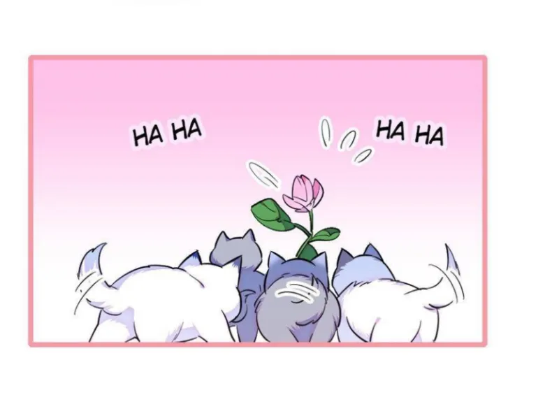 14 El lindo mundo de las bestias