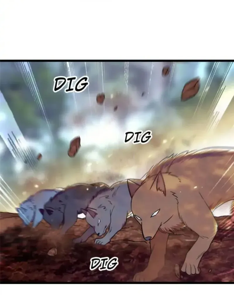 18 El lindo mundo de las bestias