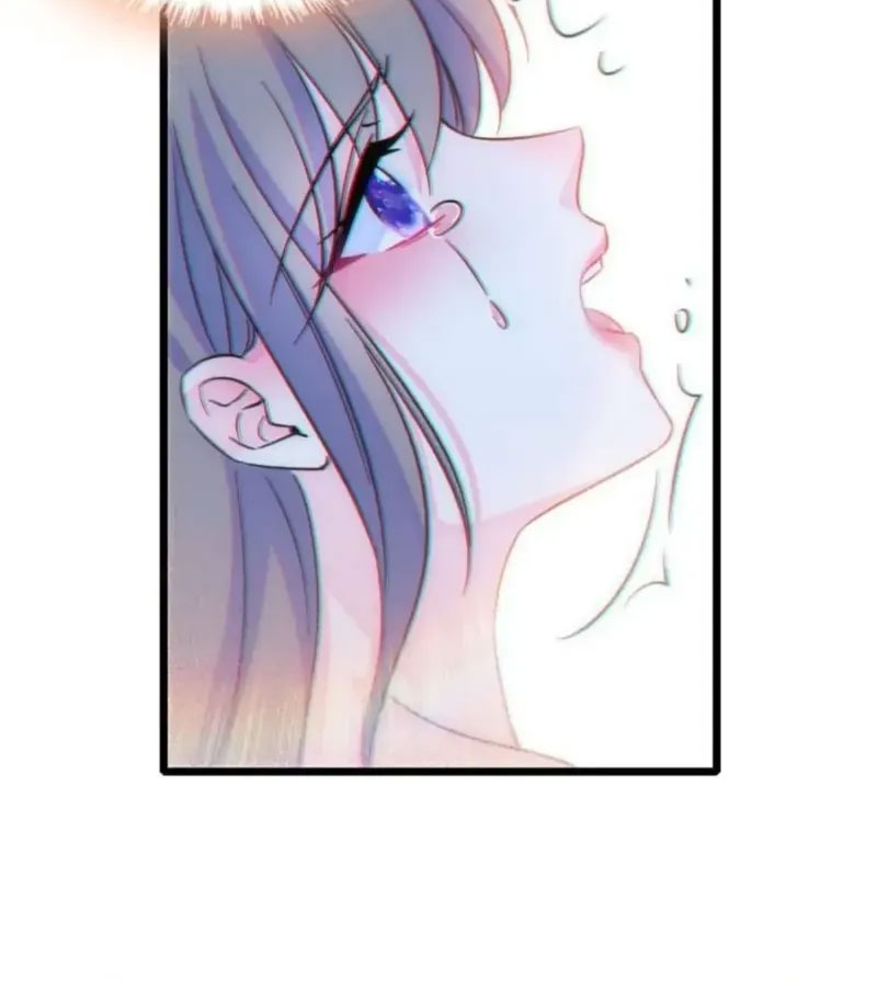 27 El lindo mundo de las bestias