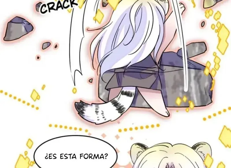 14 El lindo mundo de las bestias