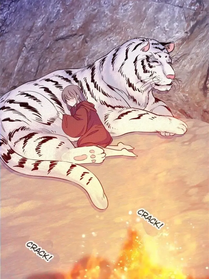 49 El lindo mundo de las bestias