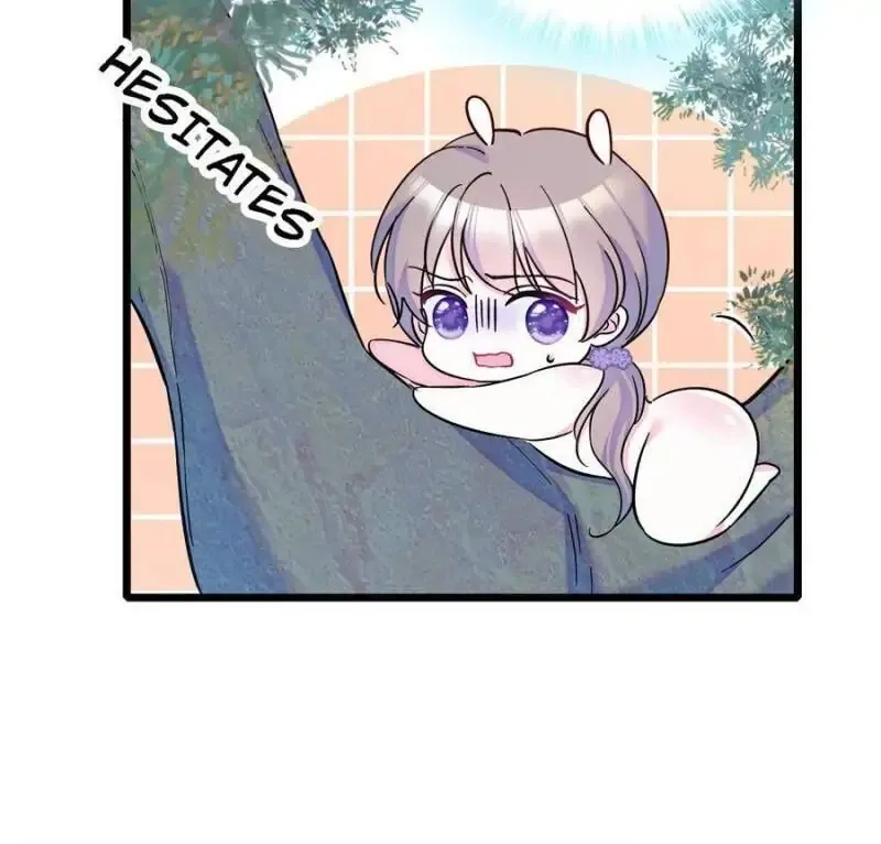 29 El lindo mundo de las bestias