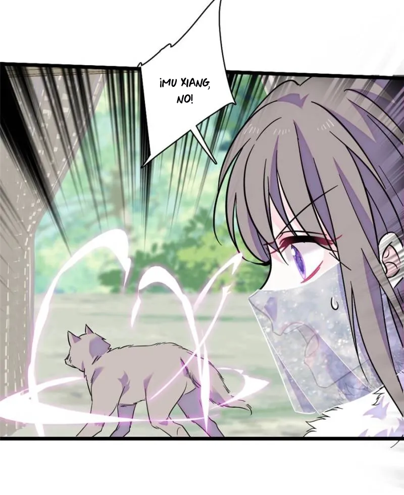 17 El lindo mundo de las bestias